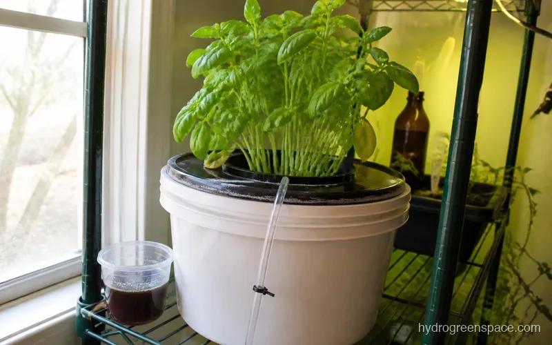 Small measuring cup with compost tea next to a 5-gallon hydroponic bucket reservoir