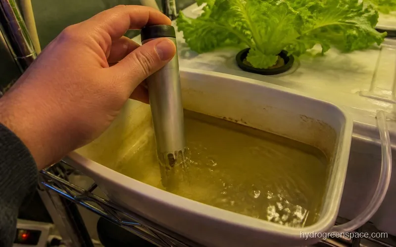 Hand holding a TDS meter probe dipped into a clear hydroponic reservoir