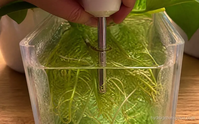 EC meter probe submerged in a clear hydroponic nutrient reservoir with visible green plant roots