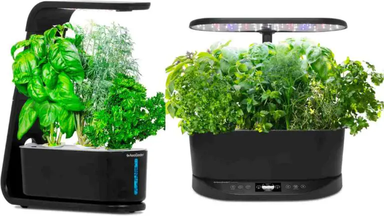 Aerogarden sprout hydroponic indoor garden