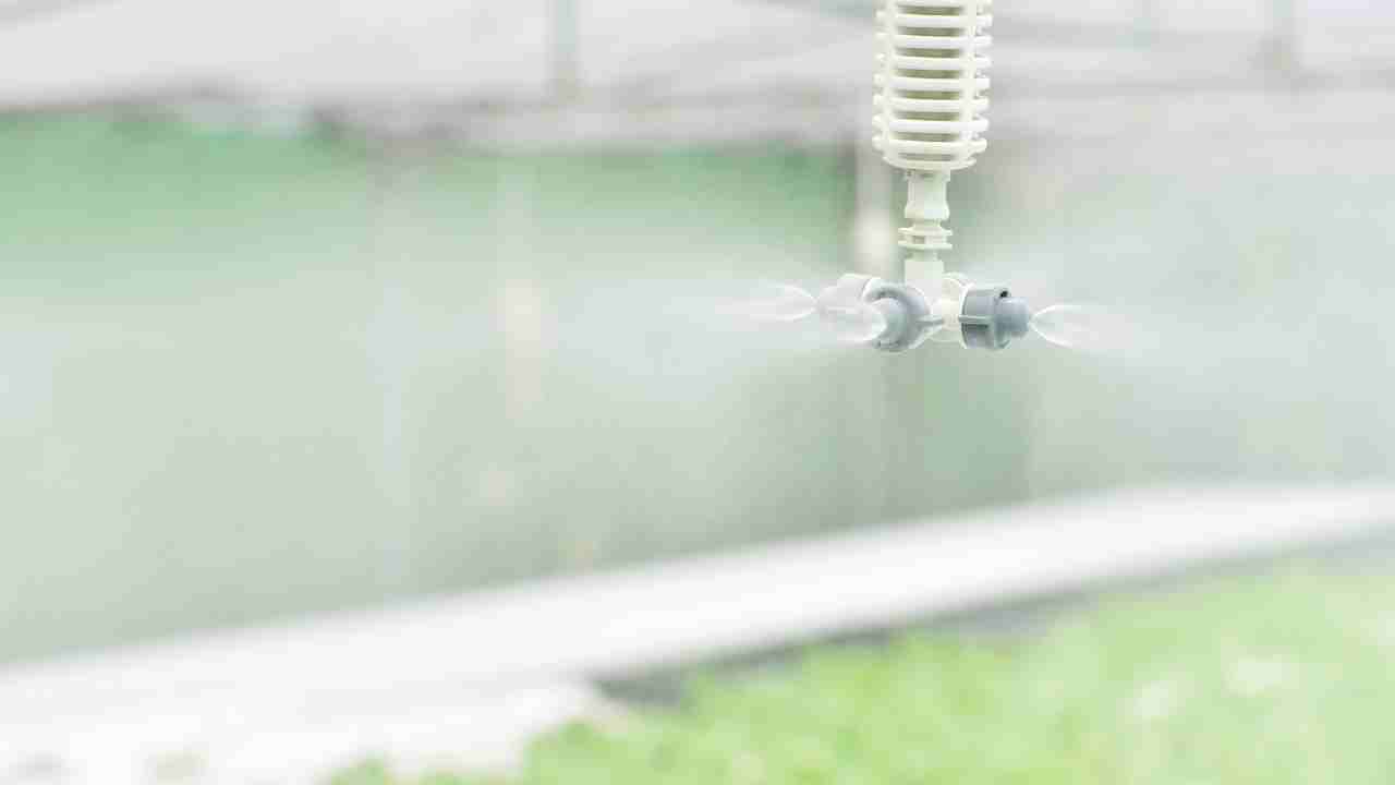 Fog Hydroponics