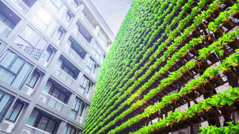 Hydroponic Apartment: Green Living in Limited Spaces