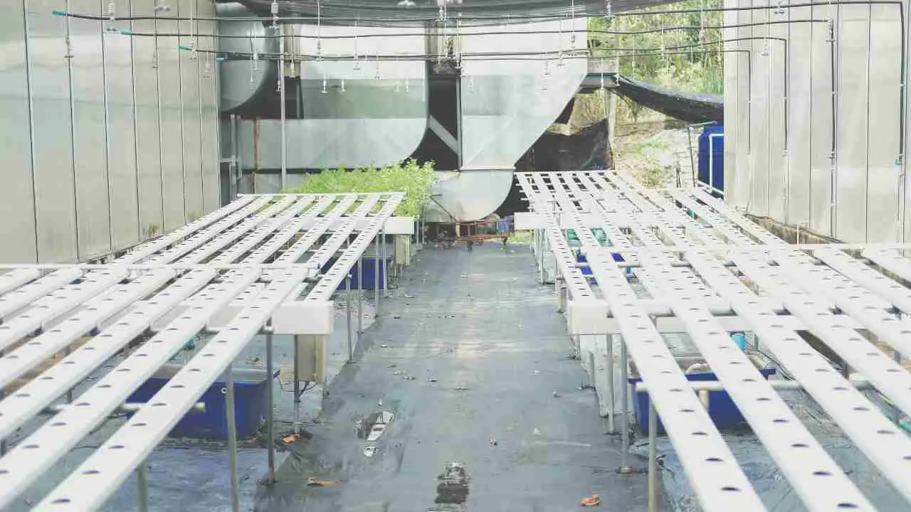 Hydroponic Rail system