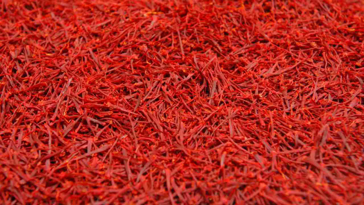 Hydroponic Saffron