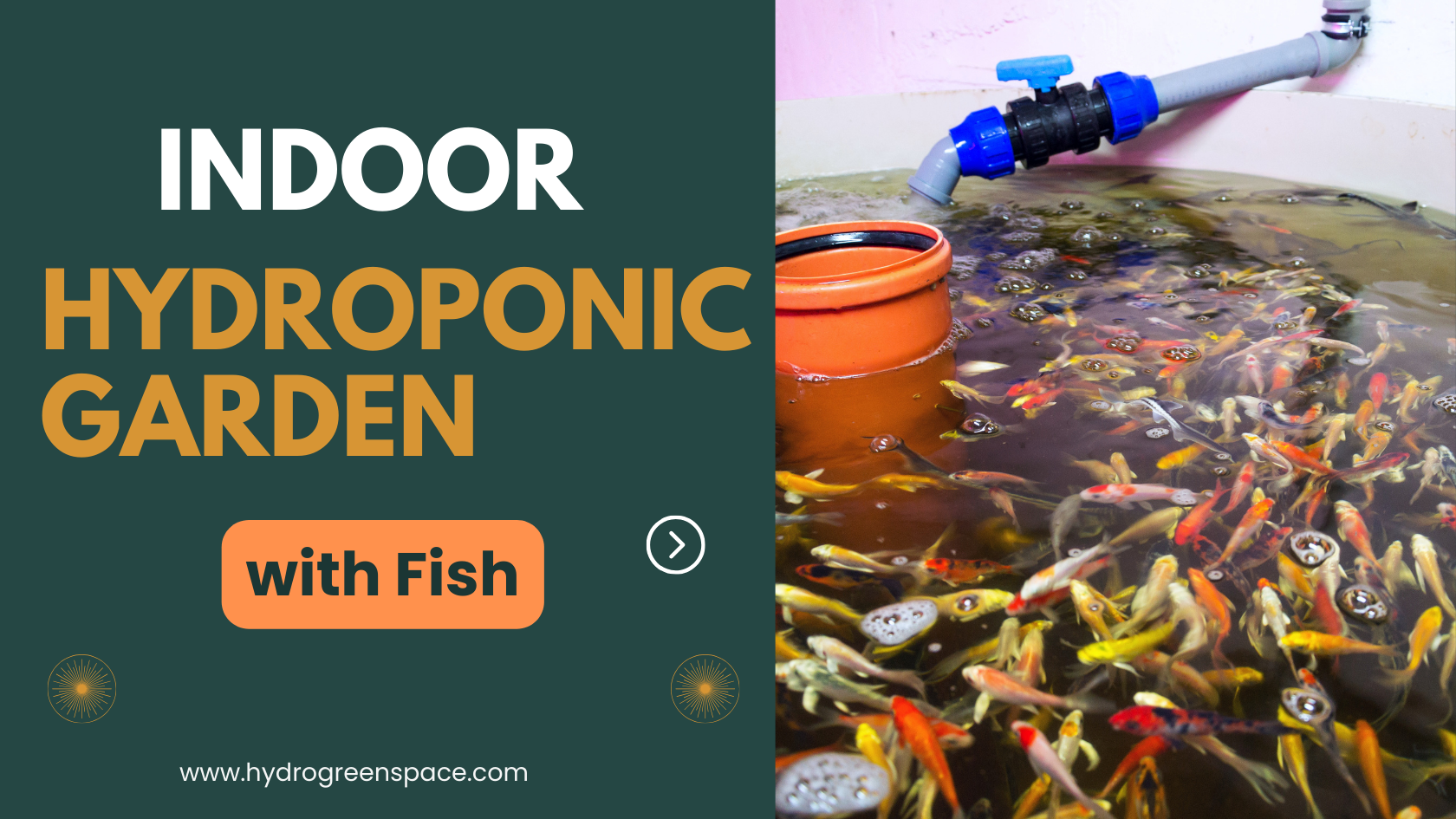 Indoor Hydroponic Garden with Fish