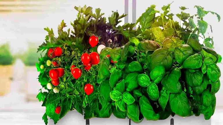 Sarina hydroponic smart garden: Cutting-Edge Technology