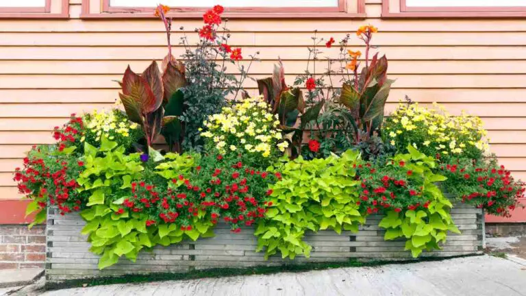 Sims 4 Hydroponic Planter
