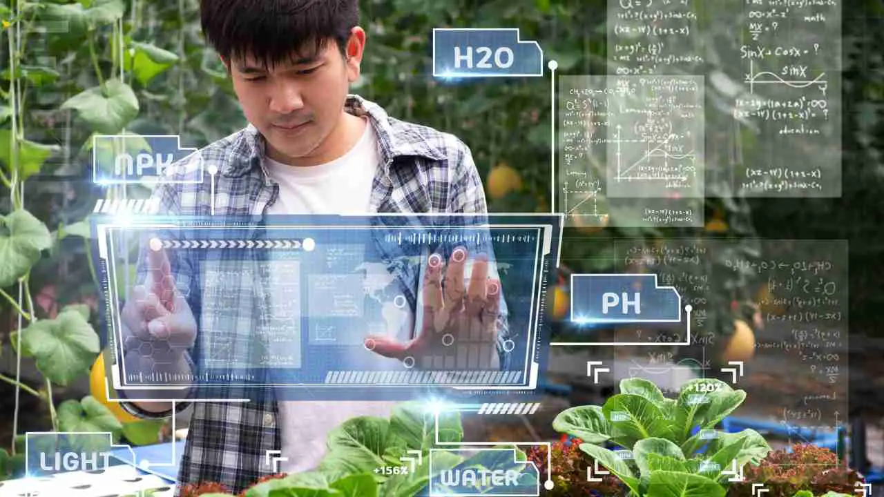 Why hydroponics is bad