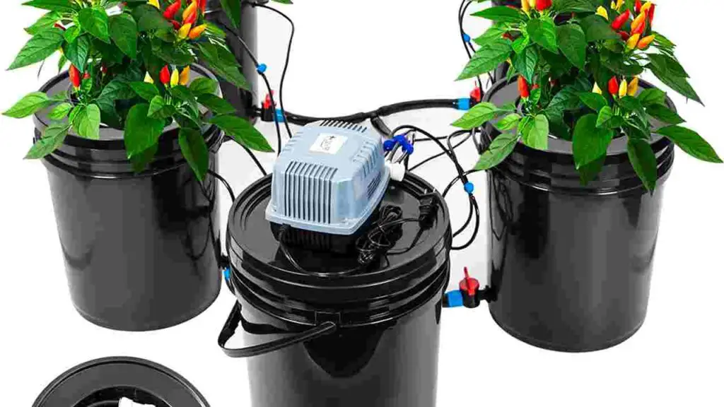 100 Gallon Hydroponic Reservoir