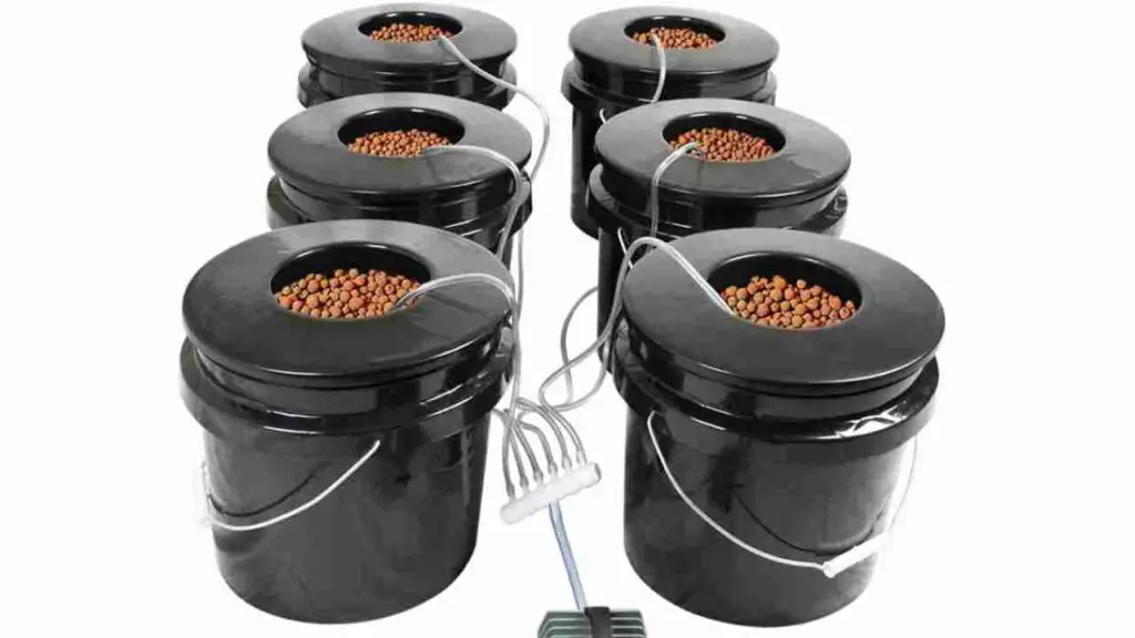 6 Bucket Hydroponic System