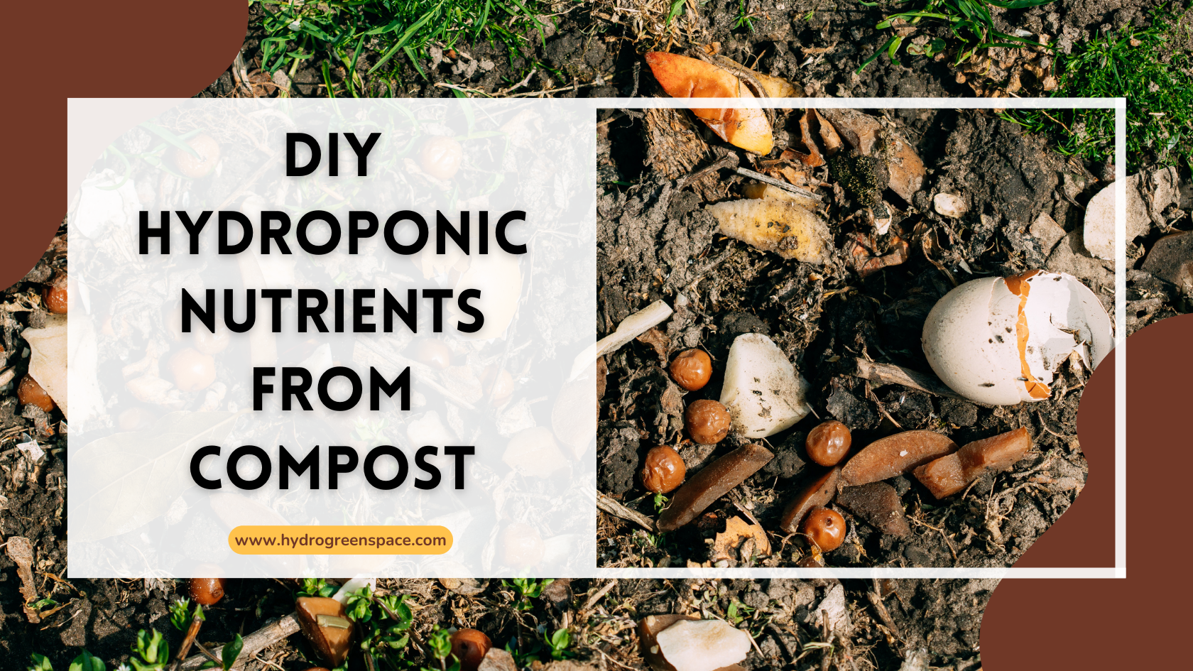 DIY Hydroponic Nutrients from Compost