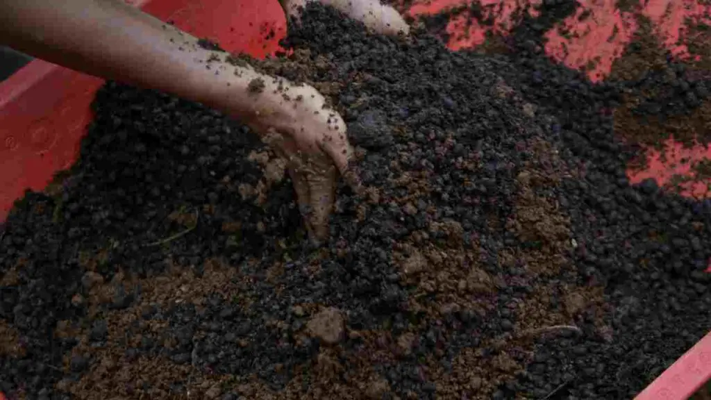 DIY Hydroponic nutrients from compost
