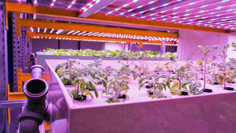 How long should i run my hydroponic system?