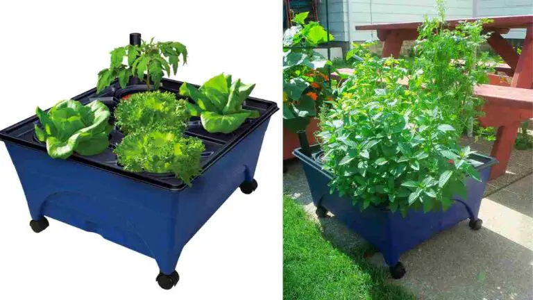 Hydropickers Hydroponic Grow Box