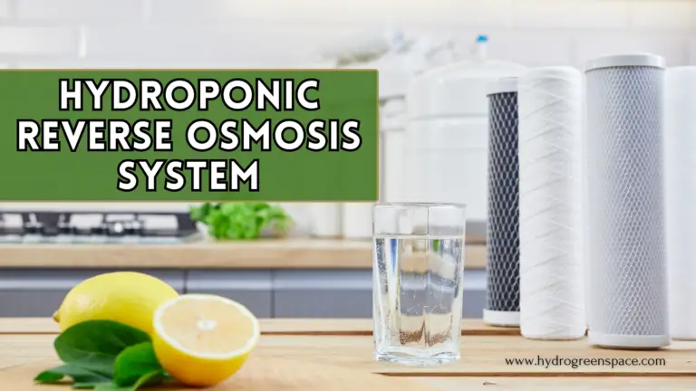 From Tap to Top: Transforming My Urban Garden with a Hydroponic Reverse Osmosis System