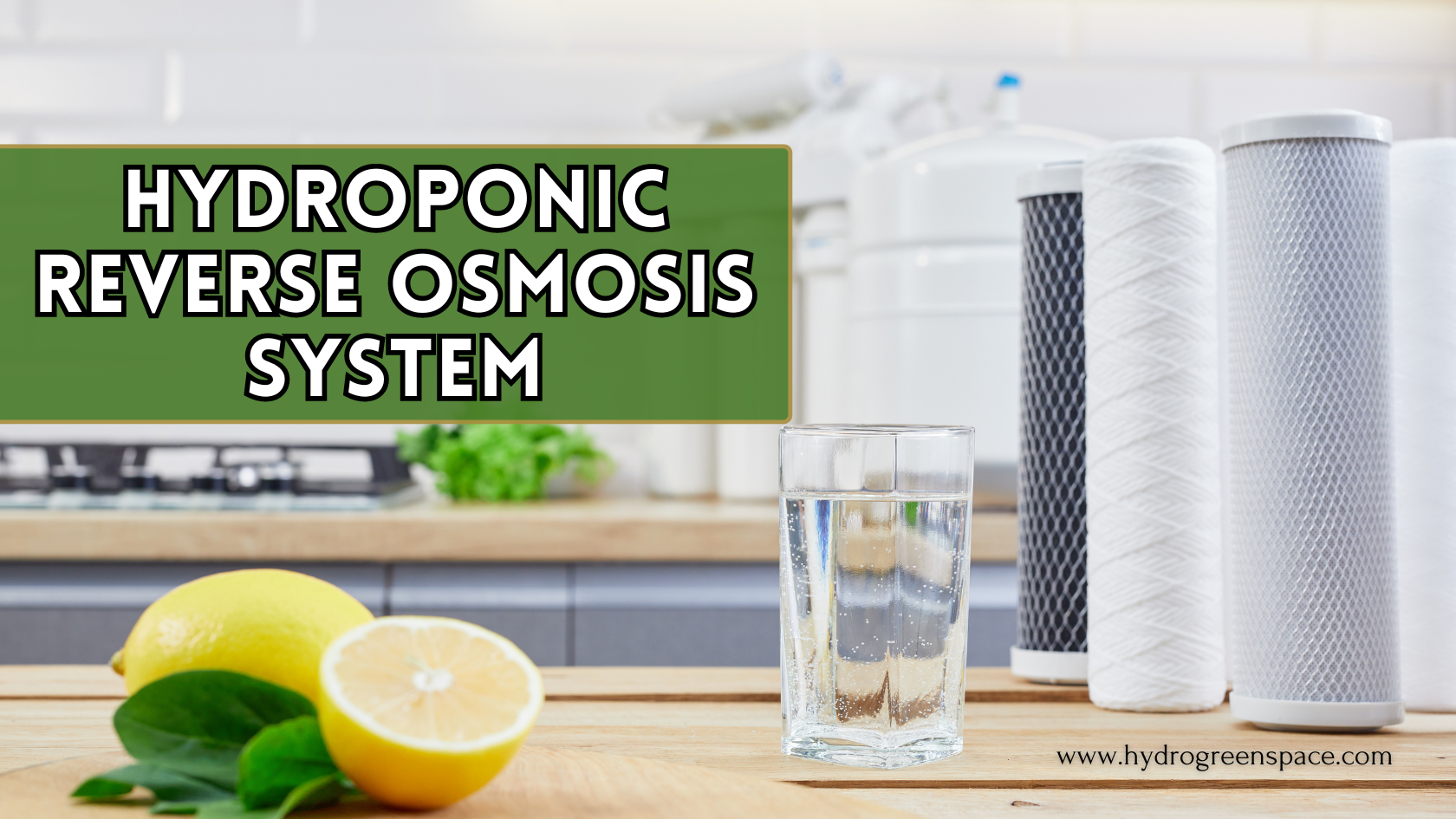 Hydroponic Reverse Osmosis System