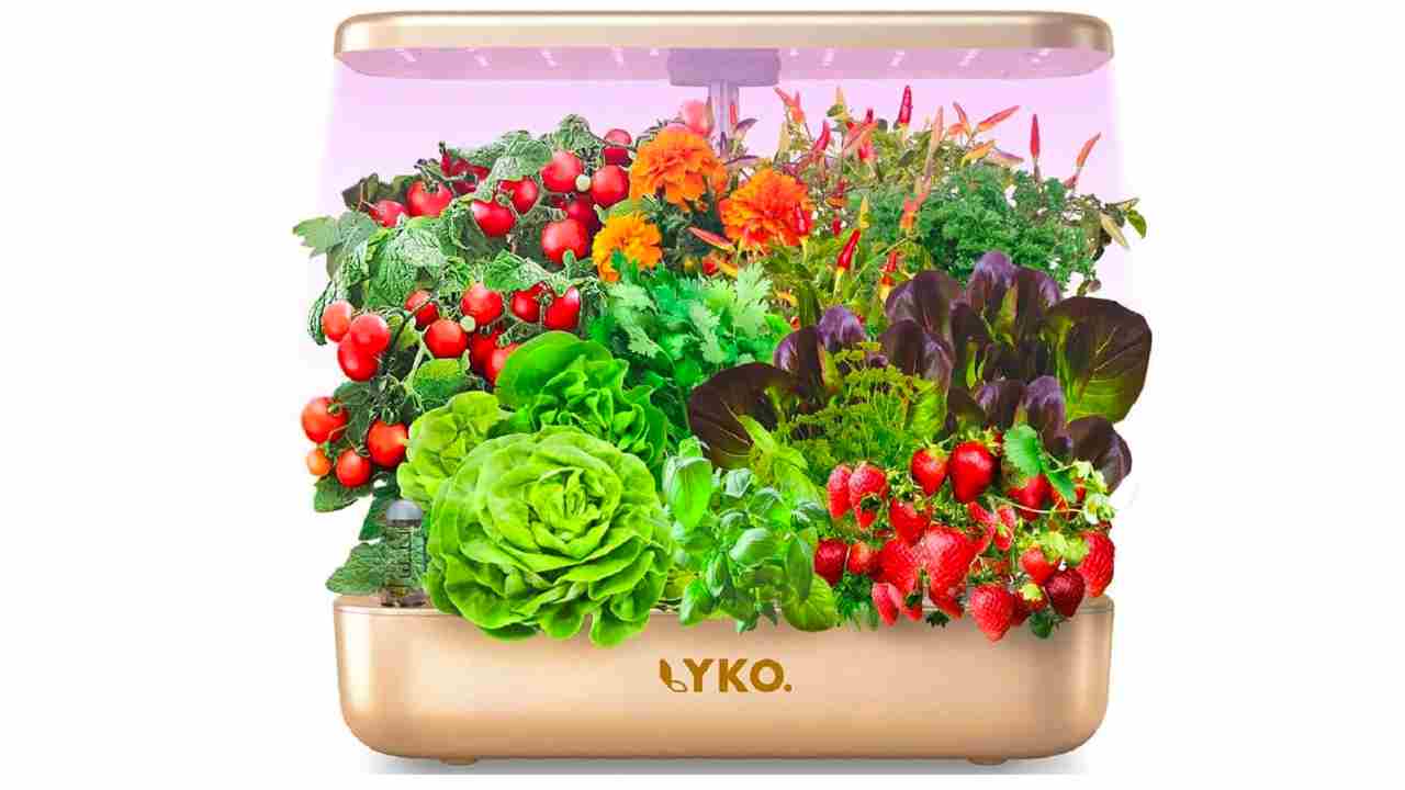 Lyko Hydroponics Growing System New