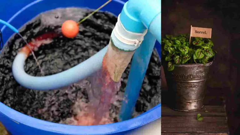 Single Bucket Hydroponic System