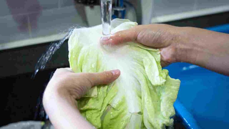 Do You Need to Wash Hydroponic Lettuce?