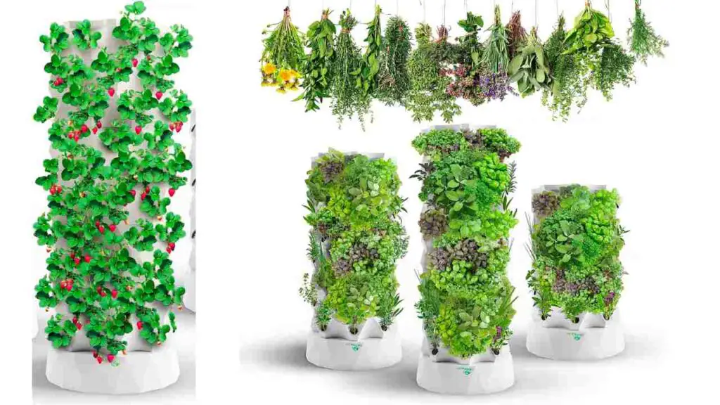 How Does a Hydroponic Tower Work