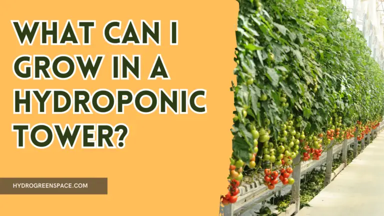 What Can I Grow in a Hydroponic Tower?