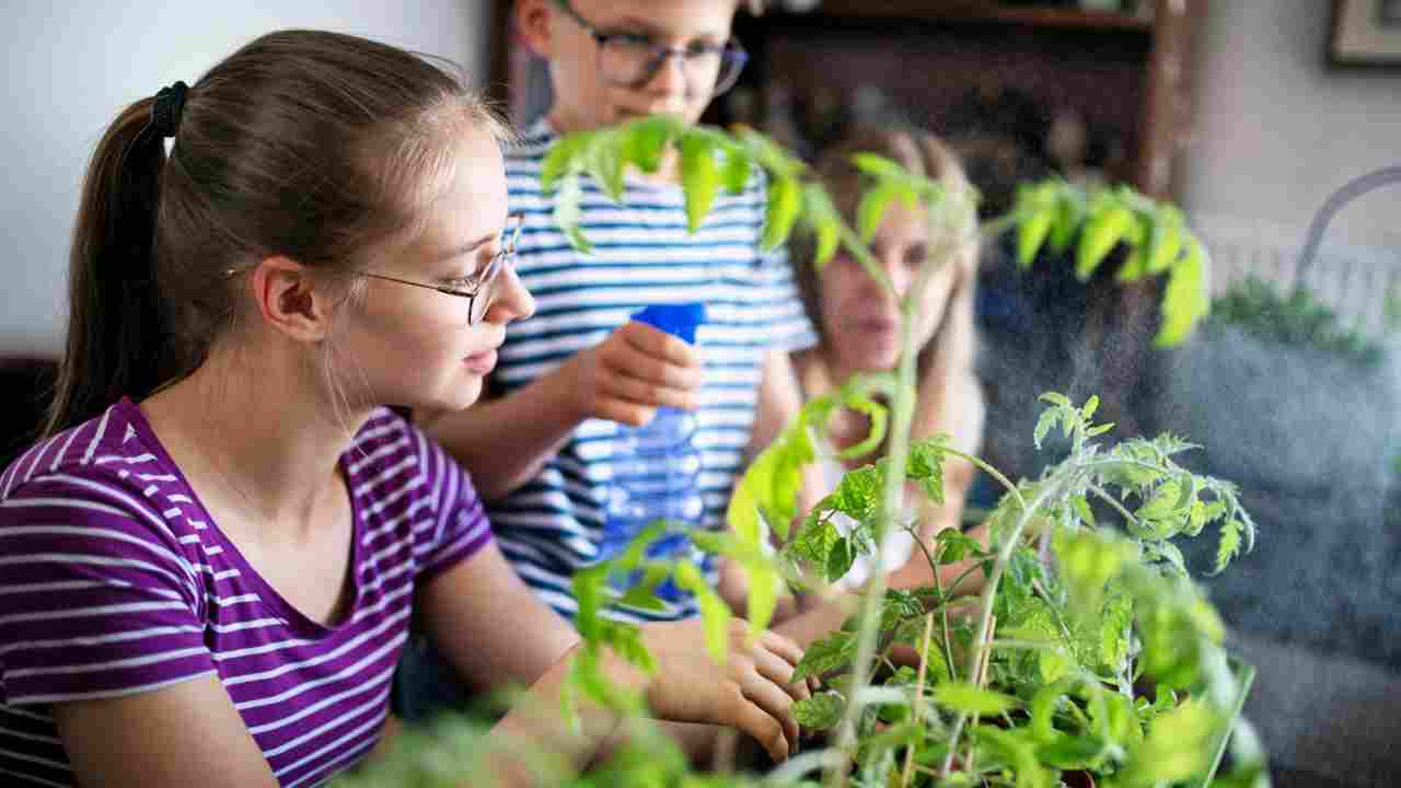 Who Uses Hydroponics