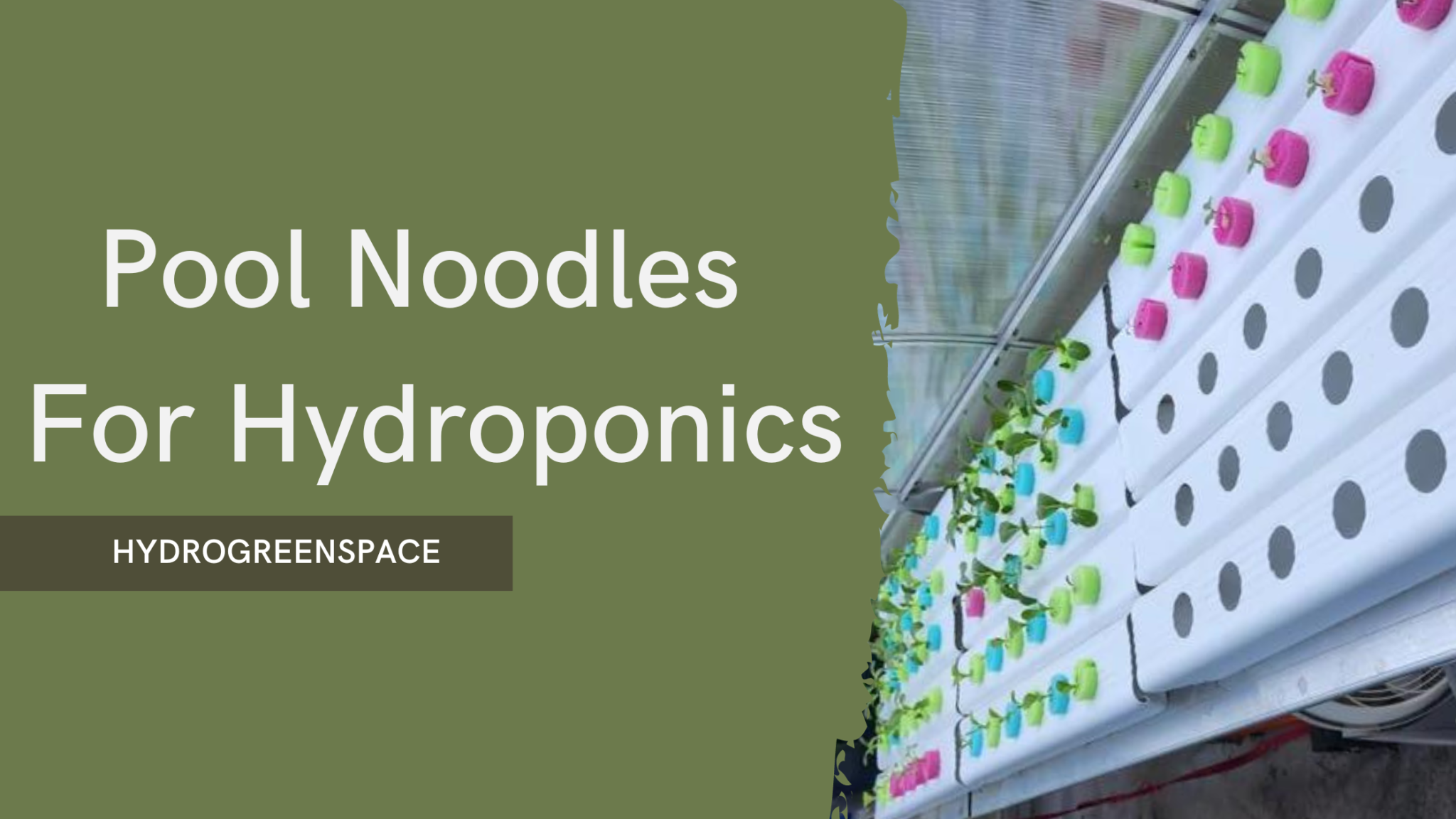 Grow a Bountiful Garden with Pool Noodle Hydroponics