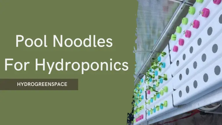 Grow a Bountiful Garden Using Pool Noodles for Hydroponics: An Easy DIY Method