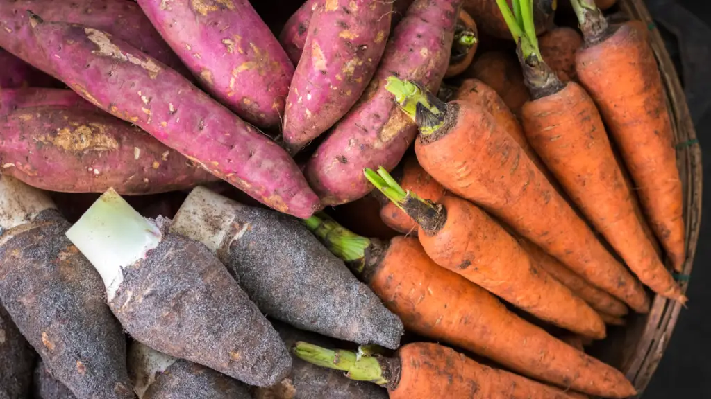 Carrot and Sweet Potato